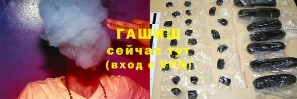 эйфоретик Бородино