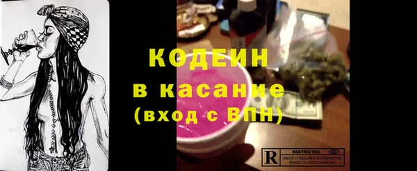 индика Бугульма