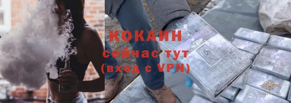 индика Бугульма
