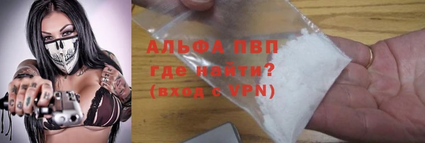индика Бугульма