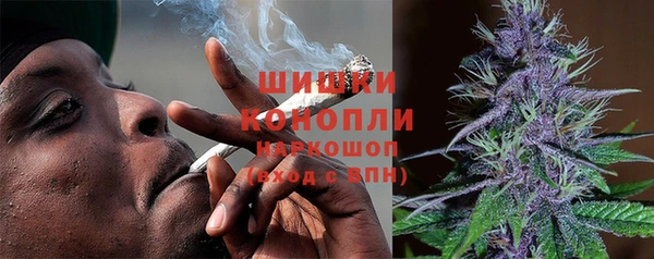 индика Бугульма
