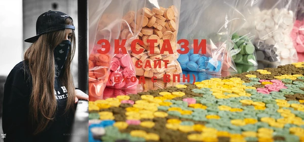 индика Бугульма